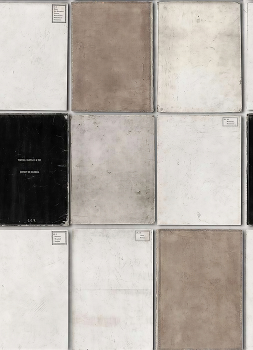Celandine Folio Geometric Wallpaper — Stone Gray