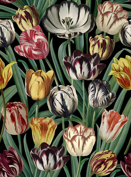 Dovewick Folio Dark Floral Wallpaper — Midnight Garden