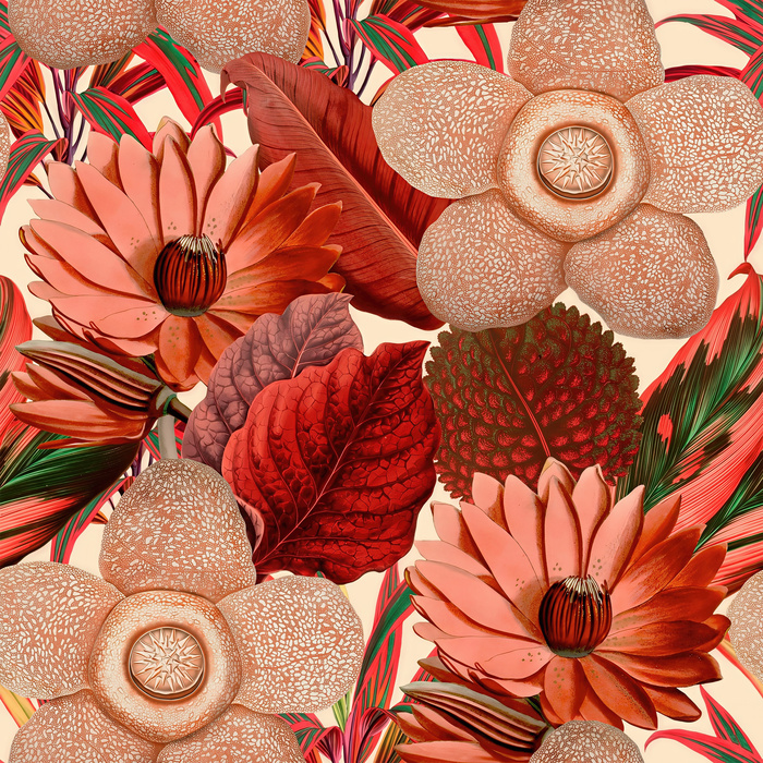 Gildmere Passage Floral Wallpaper — Coral
