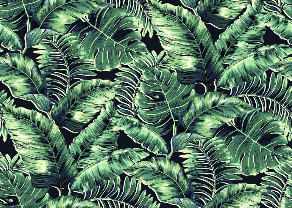 Kestrel Tableau Tropical Wallpaper — Forest