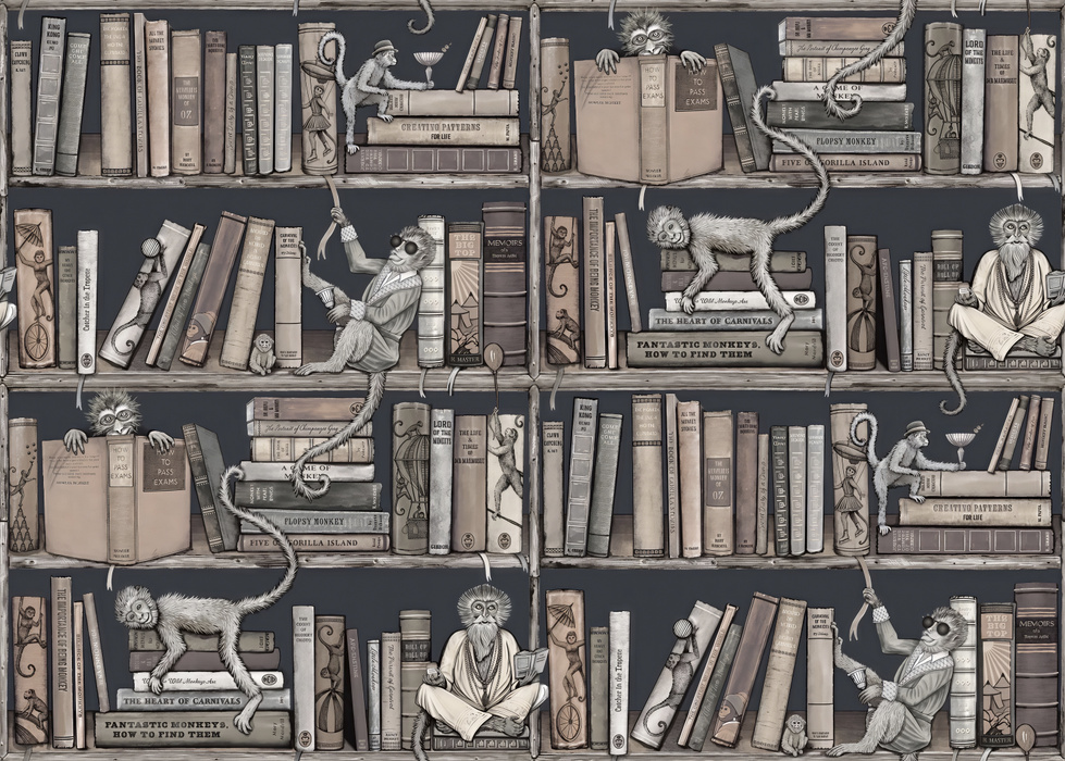 Merevale Vista Bookshelf Wallpaper — Charcoal