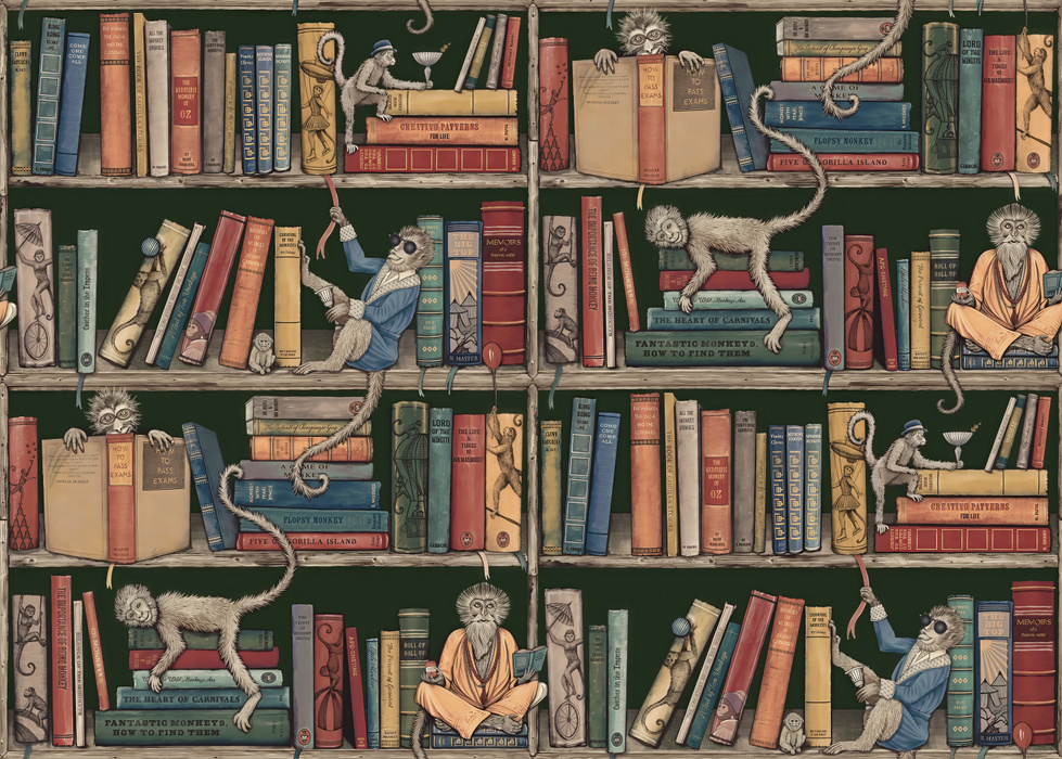 Merevale Vista Bookshelf Wallpaper — Warm Brown