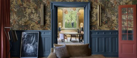 Larkspur Gleam Bird Wallpaper — desktop room preview 3