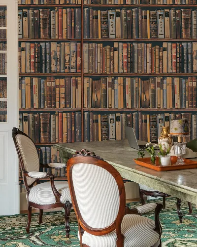 Solenne Whim Bookshelf Wallpaper