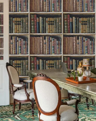 Dovewick Reverie Bookshelf Wallpaper